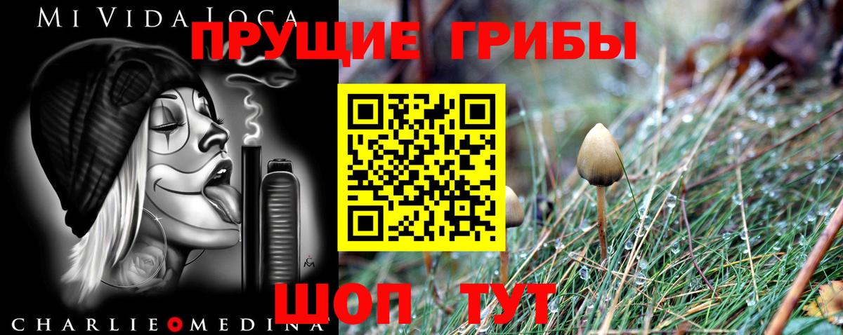 Галлюциногенные грибы Magic Shrooms  Вход с VPN  где купить наркоту  Острогожск  Галлюциногенные грибы Magic Shrooms 