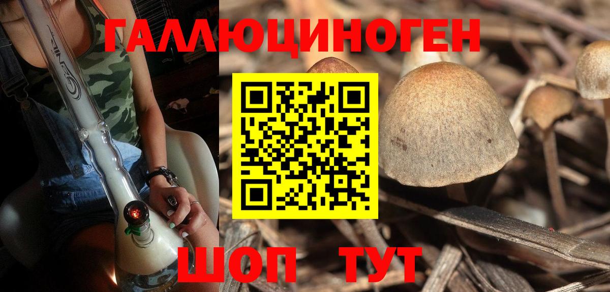 Галлюциногенные грибы мухоморы Острогожск